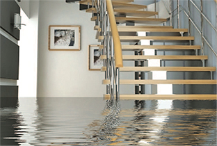 flood cleanup toronto